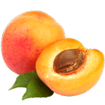 Abricot