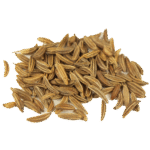 Cumin