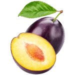 Prune